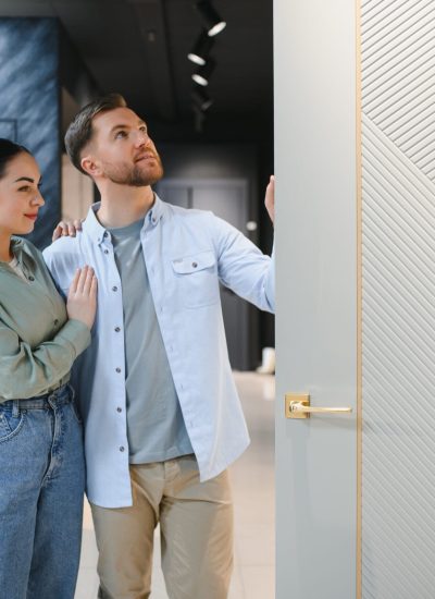 Contemporary doors