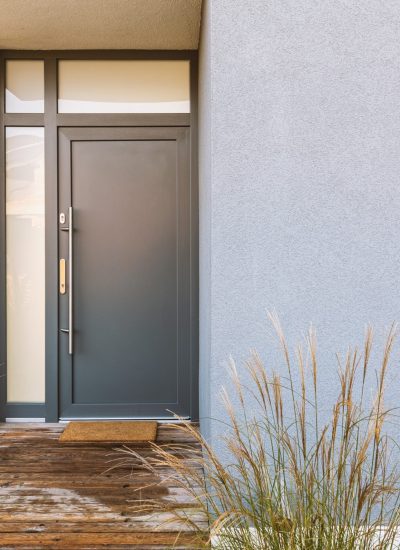 Contemporary doors