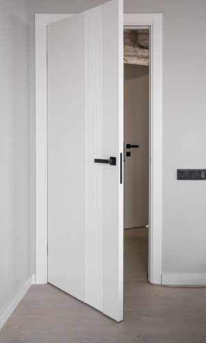 Contemporary doors