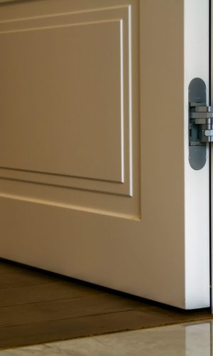open-door-with-hidden-hinges-leading-to-wood-2026-09-23-06-08-08-utc (1)